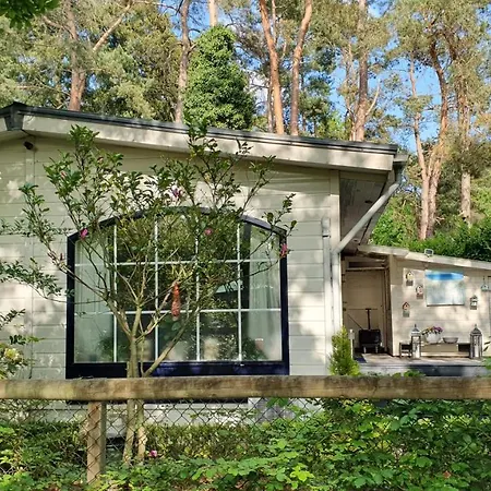Chalet Vogelzang - Veluwe, Natuur, Privacy Chalet Hattemerbroek