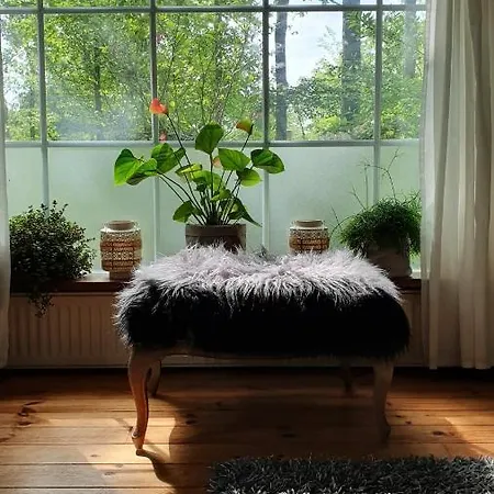 Chalet Vogelzang - Veluwe, Natuur, Privacy * Hattemerbroek